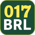 017brl - Mega Earning App